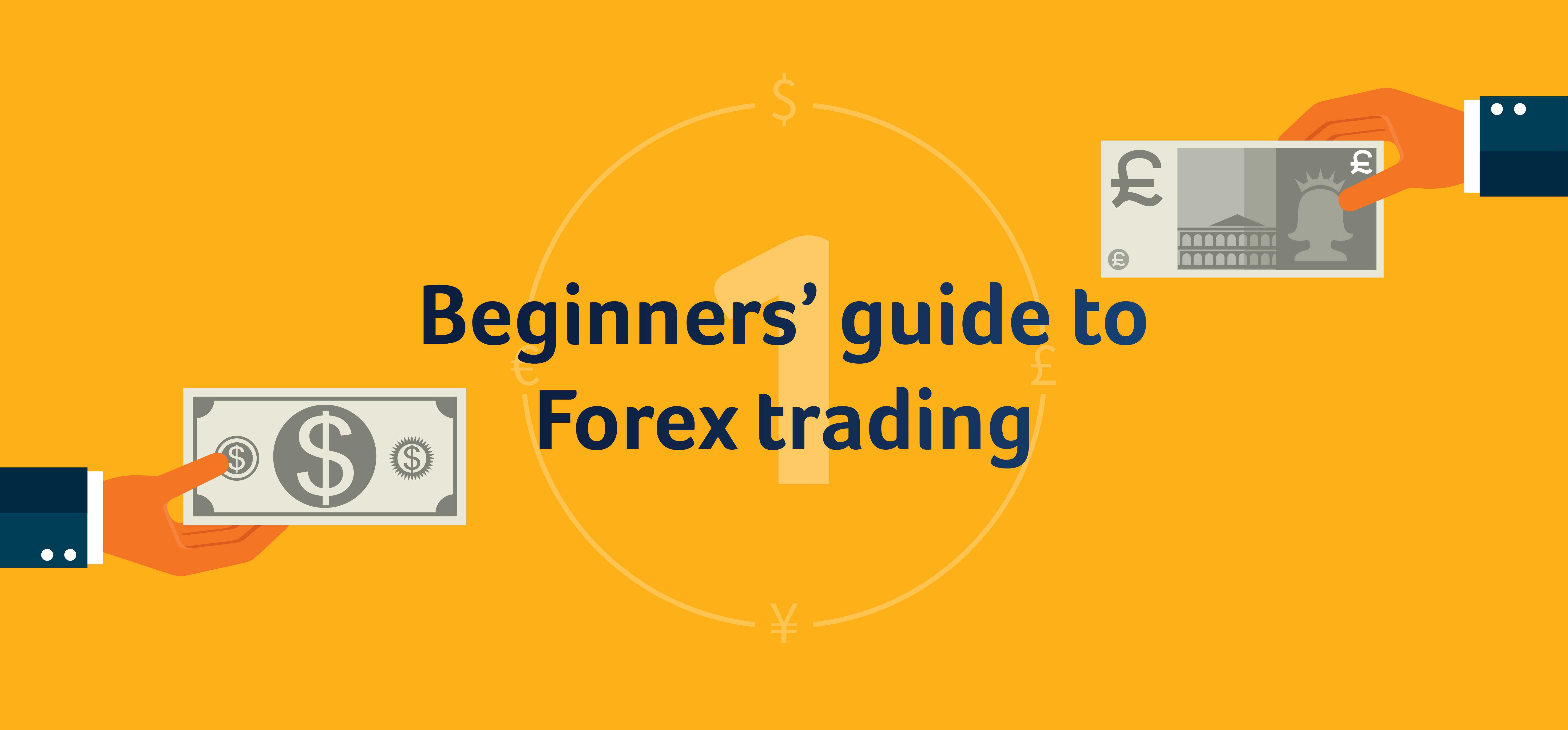 FX Beginner Article Hero Image