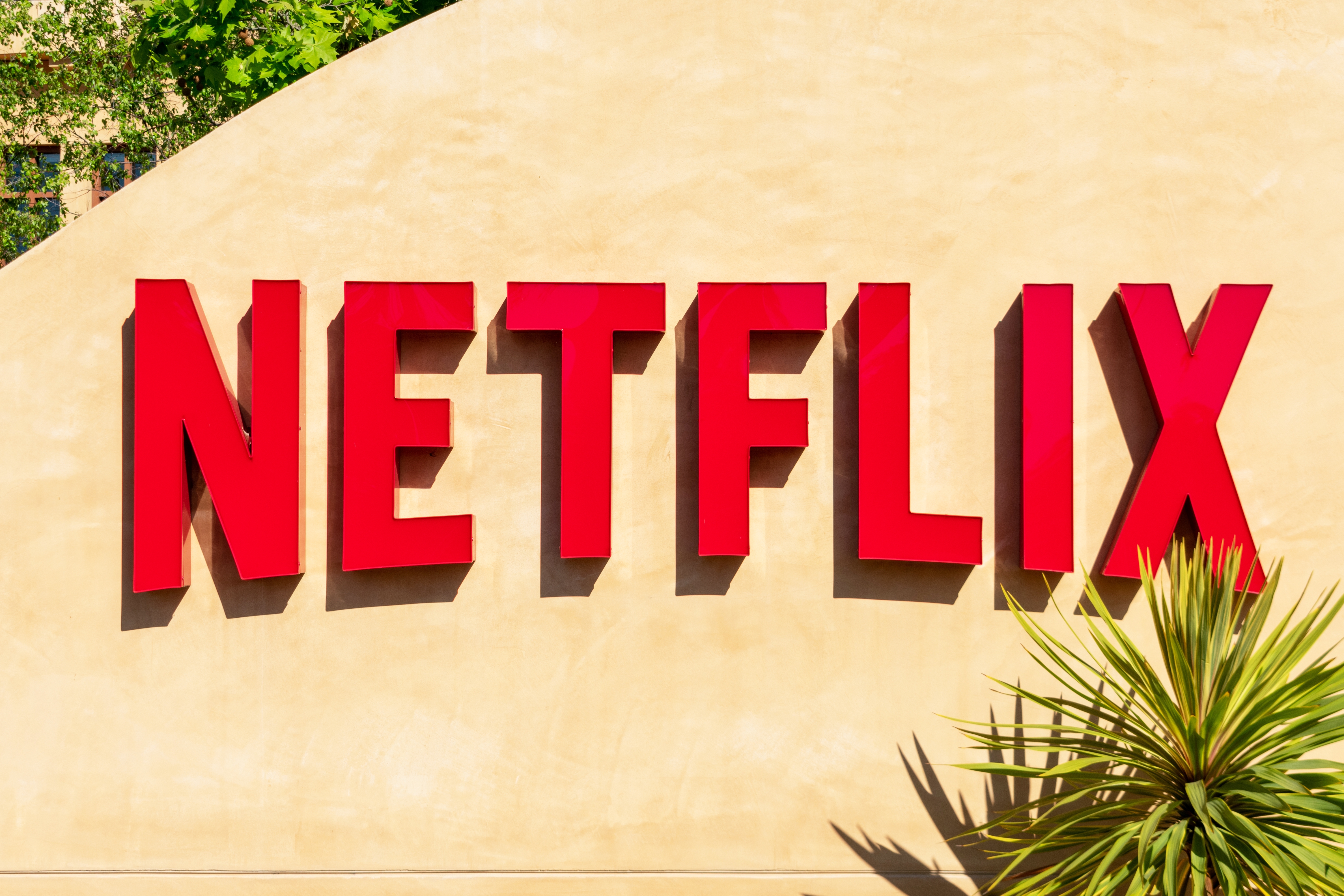 Netflix Shares Surge