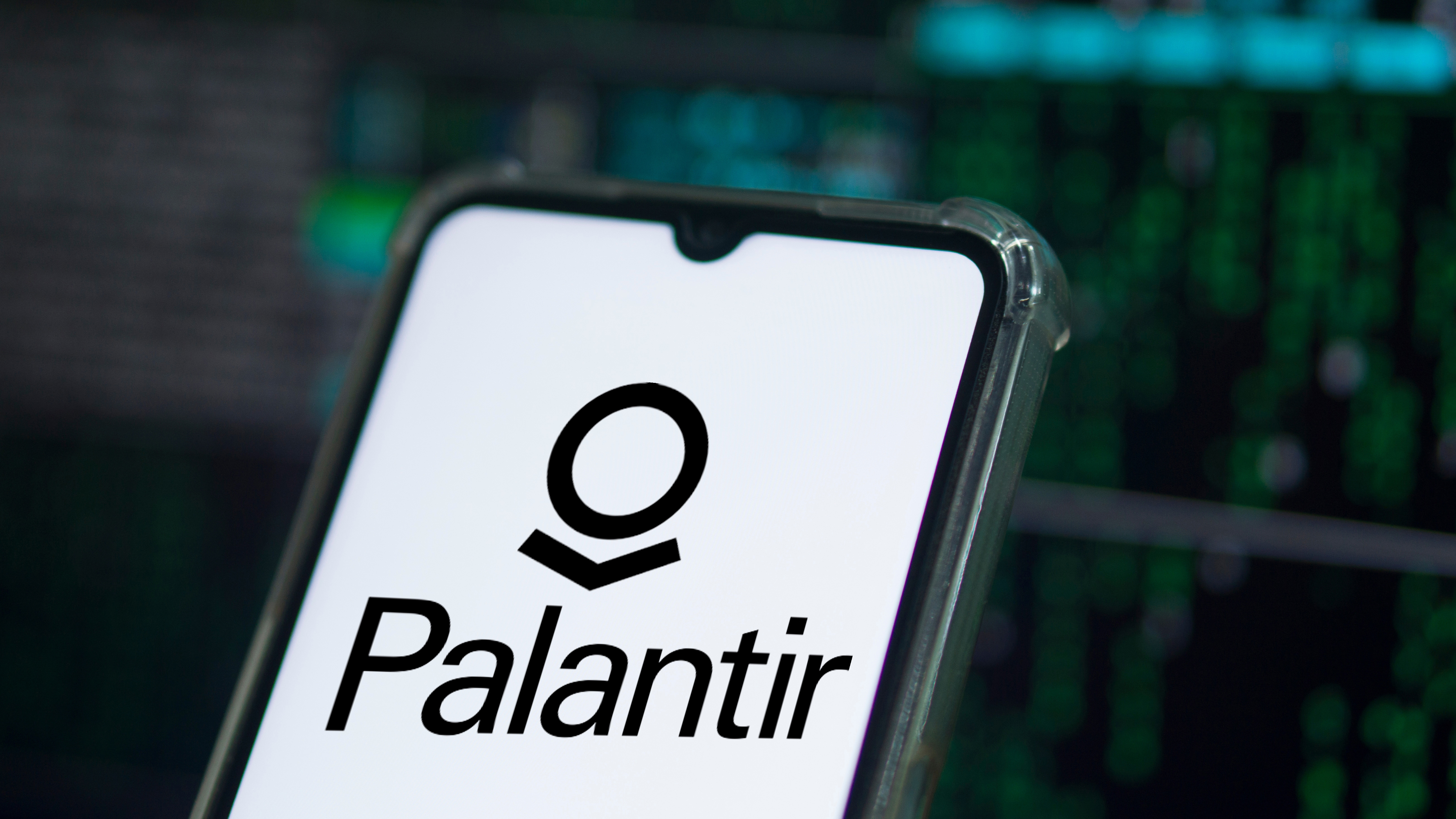 Palantir Has Potential Said One Analyst